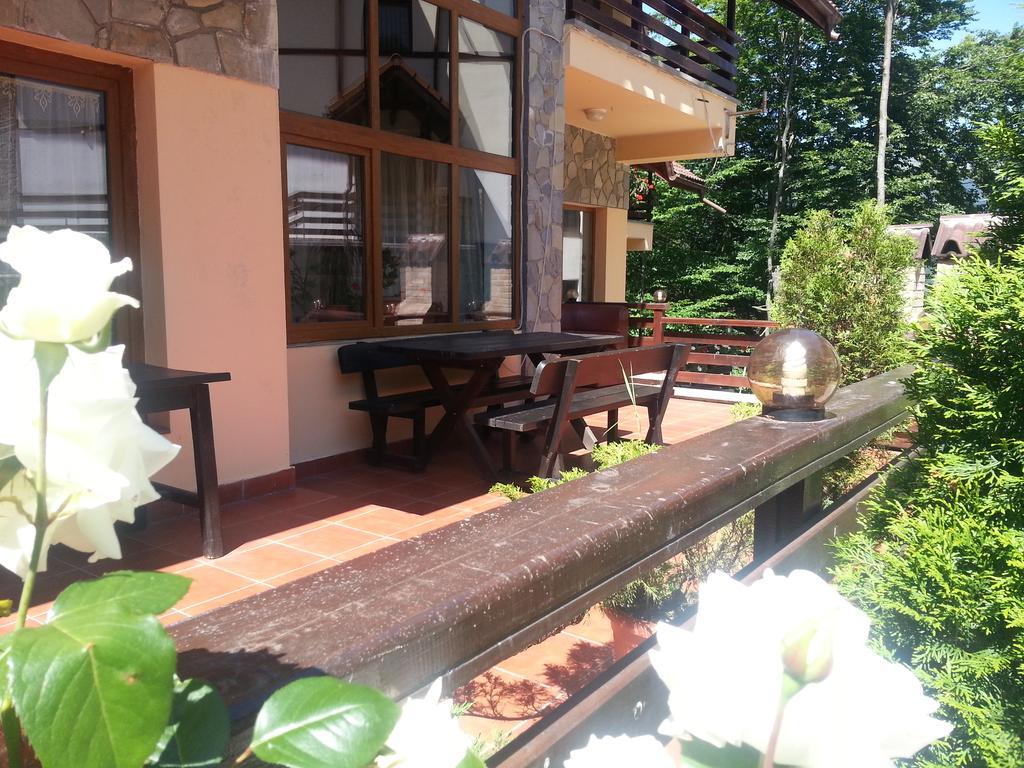 Pensiunea Eliza Sinaia Exterior foto